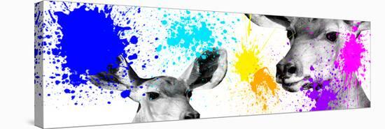 Safari Colors Pop Collection - Antelopes II-Philippe Hugonnard-Stretched Canvas