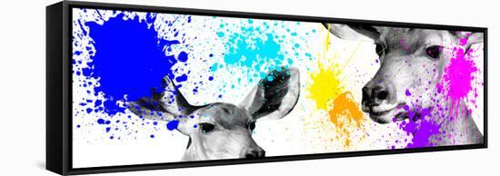 Safari Colors Pop Collection - Antelopes II-Philippe Hugonnard-Framed Stretched Canvas