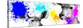 Safari Colors Pop Collection - Antelopes II-Philippe Hugonnard-Stretched Canvas