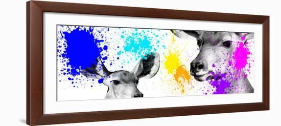 Safari Colors Pop Collection - Antelopes II-Philippe Hugonnard-Framed Giclee Print