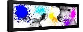 Safari Colors Pop Collection - Antelopes II-Philippe Hugonnard-Framed Giclee Print