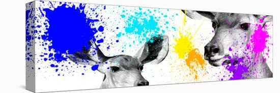 Safari Colors Pop Collection - Antelopes II-Philippe Hugonnard-Stretched Canvas