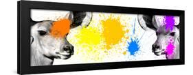 Safari Colors Pop Collection - Antelopes IV-Philippe Hugonnard-Framed Giclee Print