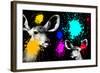 Safari Colors Pop Collection - Antelopes Portrait II-Philippe Hugonnard-Framed Giclee Print