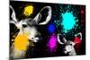 Safari Colors Pop Collection - Antelopes Portrait II-Philippe Hugonnard-Mounted Giclee Print