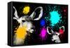 Safari Colors Pop Collection - Antelopes Portrait II-Philippe Hugonnard-Framed Stretched Canvas