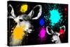 Safari Colors Pop Collection - Antelopes Portrait II-Philippe Hugonnard-Stretched Canvas