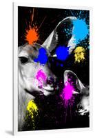 Safari Colors Pop Collection - Antelopes Portrait-Philippe Hugonnard-Framed Giclee Print