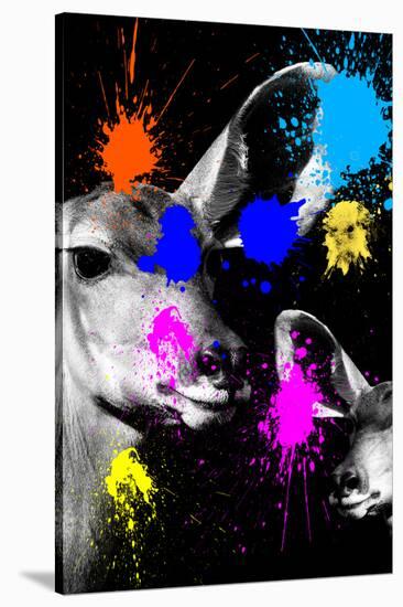 Safari Colors Pop Collection - Antelopes Portrait-Philippe Hugonnard-Stretched Canvas