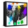 Safari Colors Pop Collection - Elephant II-Philippe Hugonnard-Framed Stretched Canvas