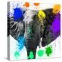 Safari Colors Pop Collection - Elephant II-Philippe Hugonnard-Stretched Canvas