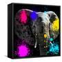 Safari Colors Pop Collection - Elephant III-Philippe Hugonnard-Framed Stretched Canvas
