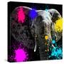 Safari Colors Pop Collection - Elephant III-Philippe Hugonnard-Stretched Canvas