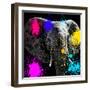 Safari Colors Pop Collection - Elephant III-Philippe Hugonnard-Framed Giclee Print