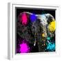 Safari Colors Pop Collection - Elephant III-Philippe Hugonnard-Framed Giclee Print