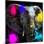 Safari Colors Pop Collection - Elephant III-Philippe Hugonnard-Mounted Giclee Print