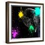 Safari Colors Pop Collection - Elephant Portrait II-Philippe Hugonnard-Framed Giclee Print