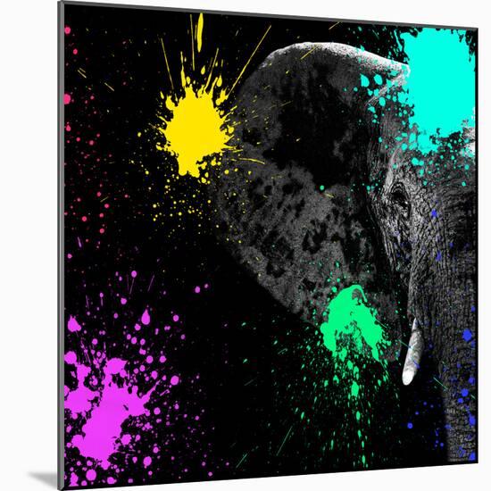 Safari Colors Pop Collection - Elephant Portrait II-Philippe Hugonnard-Mounted Giclee Print