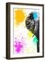 Safari Colors Pop Collection - Elephant Portrait III-Philippe Hugonnard-Framed Giclee Print