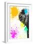 Safari Colors Pop Collection - Elephant Portrait III-Philippe Hugonnard-Framed Giclee Print