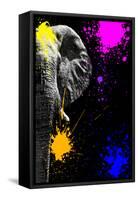 Safari Colors Pop Collection - Elephant Portrait IV-Philippe Hugonnard-Framed Stretched Canvas