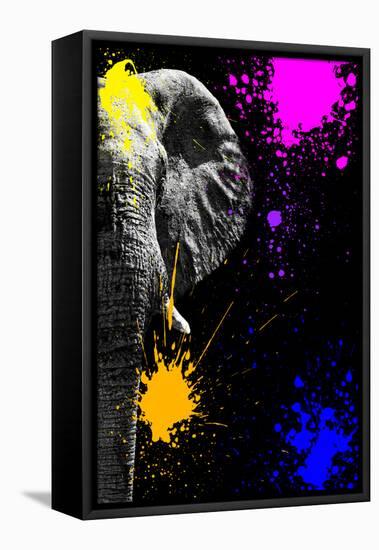 Safari Colors Pop Collection - Elephant Portrait IV-Philippe Hugonnard-Framed Stretched Canvas