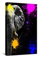 Safari Colors Pop Collection - Elephant Portrait IV-Philippe Hugonnard-Stretched Canvas