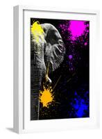 Safari Colors Pop Collection - Elephant Portrait IV-Philippe Hugonnard-Framed Giclee Print