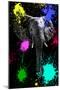 Safari Colors Pop Collection - Elephant V-Philippe Hugonnard-Mounted Giclee Print