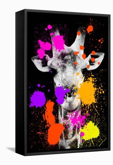 Safari Colors Pop Collection - Giraffe II-Philippe Hugonnard-Framed Stretched Canvas