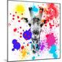 Safari Colors Pop Collection - Giraffe III-Philippe Hugonnard-Mounted Giclee Print