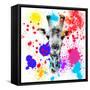 Safari Colors Pop Collection - Giraffe III-Philippe Hugonnard-Framed Stretched Canvas