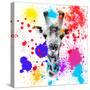 Safari Colors Pop Collection - Giraffe III-Philippe Hugonnard-Stretched Canvas