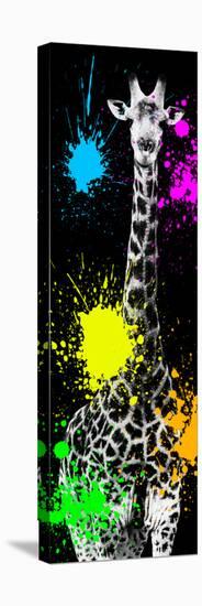 Safari Colors Pop Collection - Giraffe IX-Philippe Hugonnard-Stretched Canvas