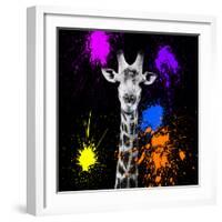 Safari Colors Pop Collection - Giraffe Portrait-Philippe Hugonnard-Framed Giclee Print