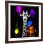 Safari Colors Pop Collection - Giraffe Portrait-Philippe Hugonnard-Framed Giclee Print