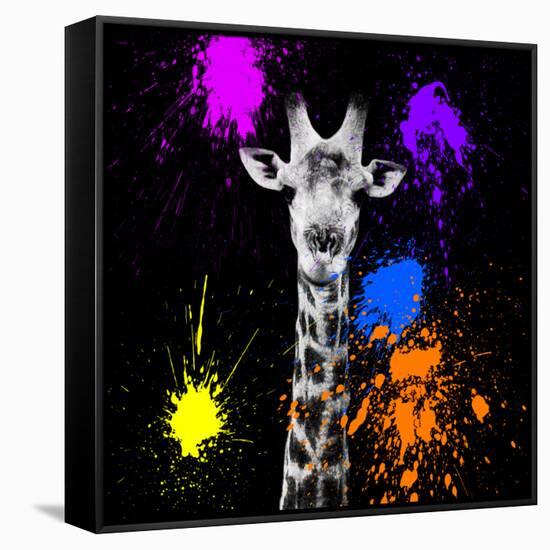 Safari Colors Pop Collection - Giraffe Portrait-Philippe Hugonnard-Framed Stretched Canvas