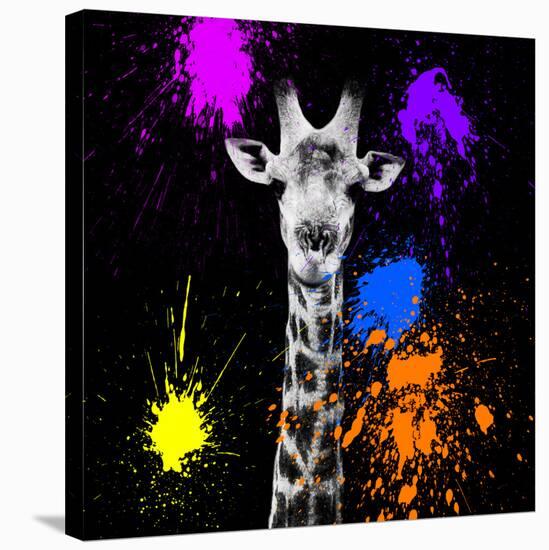Safari Colors Pop Collection - Giraffe Portrait-Philippe Hugonnard-Stretched Canvas
