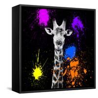 Safari Colors Pop Collection - Giraffe Portrait-Philippe Hugonnard-Framed Stretched Canvas