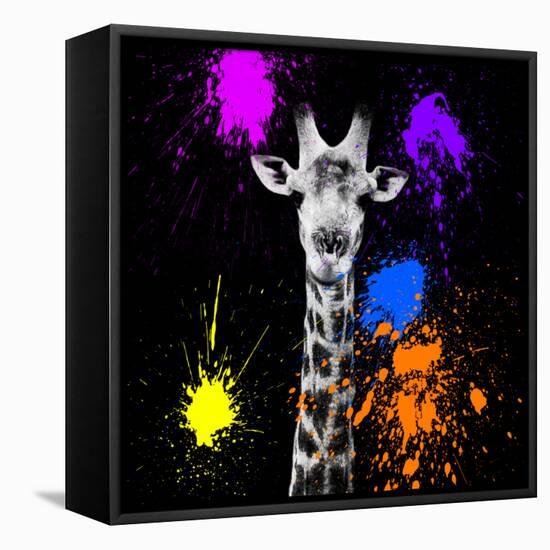 Safari Colors Pop Collection - Giraffe Portrait-Philippe Hugonnard-Framed Stretched Canvas