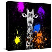Safari Colors Pop Collection - Giraffe Portrait-Philippe Hugonnard-Stretched Canvas