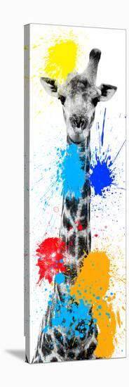 Safari Colors Pop Collection - Giraffe V-Philippe Hugonnard-Stretched Canvas