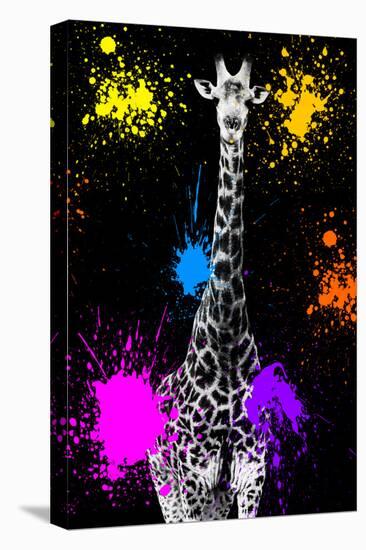 Safari Colors Pop Collection - Giraffe VII-Philippe Hugonnard-Stretched Canvas