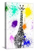 Safari Colors Pop Collection - Giraffe VIII-Philippe Hugonnard-Stretched Canvas