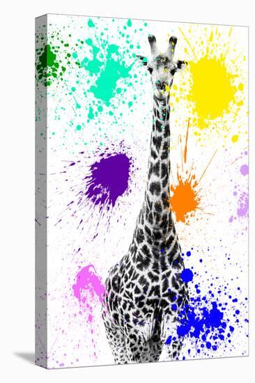 Safari Colors Pop Collection - Giraffe VIII-Philippe Hugonnard-Stretched Canvas