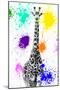 Safari Colors Pop Collection - Giraffe VIII-Philippe Hugonnard-Mounted Giclee Print