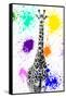 Safari Colors Pop Collection - Giraffe VIII-Philippe Hugonnard-Framed Stretched Canvas