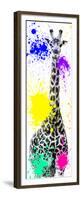 Safari Colors Pop Collection - Giraffe X-Philippe Hugonnard-Framed Premium Giclee Print