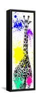 Safari Colors Pop Collection - Giraffe X-Philippe Hugonnard-Framed Stretched Canvas