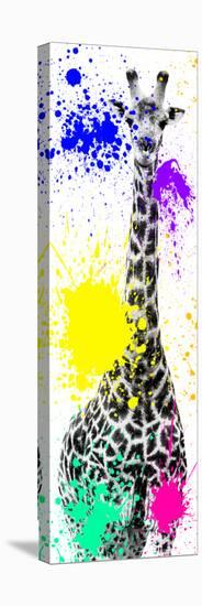 Safari Colors Pop Collection - Giraffe X-Philippe Hugonnard-Stretched Canvas